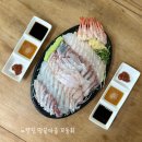 회마을 | 노량진 횟집 예약 및 포장 | 땅끝마을 모둠회 후기