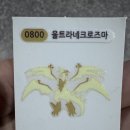 오늘의 푸켓몬 이미지