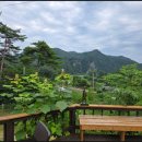 나무향가득펜션 이미지