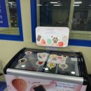 코니보이아이스크림