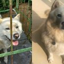 IC카센터 이미지