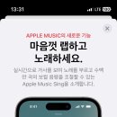 마들젠 이미지