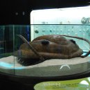 태백 관광지 투어 이미지