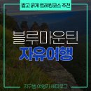 별나네일 | 블루마운틴 대중교통 당일치기 되나요? 됩니다! 트레킹까지 다녀온 여행기