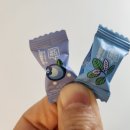 판다오라 이미지