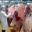 엠엔에프(주) 이미지