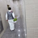 버그헌터119 서울북부센터 네이버블로그