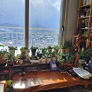 고원 경로당 이미지