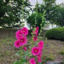 나르지오 괘법점 이미지