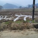 충주시 대소원면 창고부지 답4902㎡ 3.3㎡당28만원 이미지