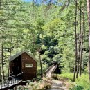 삼척활기자연휴양림 이미지