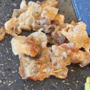 본죽 선운지구점 | 선운지구 일품대패 내돈내산 가성비 맛집 다녀온후기