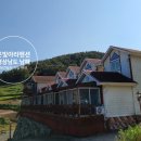 은빛아라 이미지