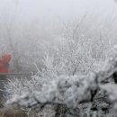 그냥 심심해서요. (18477) 제주 한라산에 첫눈 이미지