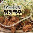 울산 삼산 맛집 분위기까지 완벽했던 닭장맥주 삼산본점