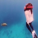 코코세탁소 이미지