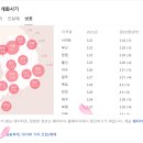 시기현대아파트 | 전북 벚꽃 개화시기 2026 최신 정보｜ 만개 예상일 정리📷🌸