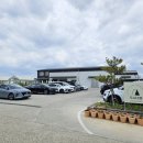 토성 | 데이지 꽃밭 예쁘기로 소문난 청주 정상동 카페 토성마을 후기