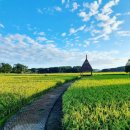 이웅종 반려동물 힐링센터 | 11월 반려견 동반 가을 여행지 TOP 5 완벽 가이드!