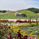 순천만국가정원 이미지