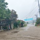 석계민물매운탕 이미지