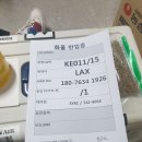 로얄플라잉 이미지