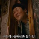 수아약국 네이버블로그