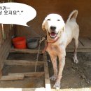 토리 이미지