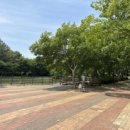 송산공원 화장실 이미지