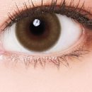 자이안경 위드렌즈 이미지