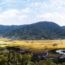 허수아비 이미지