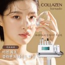 미오모르
