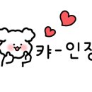 레이나수케어