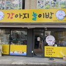 도그랭 강아지놀이방 이미지