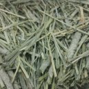 원칸통상 이미지