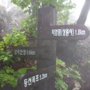 강촌유원지 이미지