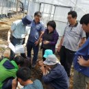 김동순농장 이미지