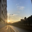 전일톱공구 | 9/7 ~ 9/20 일상 - 제 1탄 -
