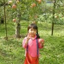 새봄농장(2) 이미지