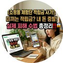 플레이디 | [일상] '플레이디'쇼핑몰 체험단 사기 '썬스토어' 🚨 사기주의🚨 당할 뻔! 절대 속지 마세요! (수법...
