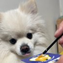 (주)유노테크 이미지