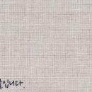 강남 요미독앤캣 강아지 분양 고양이 분양 이미지