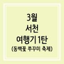 남부시장(2동) 공중화장실 | 🐙[3월 서천 여행기 DAY1] 해산물 뿌시기 (쭈꾸미 축제, 동백나무숲, 홍원항, 해변산장펜션, 조개잡이...