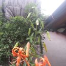 율이농장 이미지