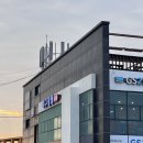 제주도횟집 | 제주도 횟집 지구상회 후기 고등어회 모듬활어회 해산물 새우튀김까지 솔직리뷰