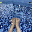 경주달링풀빌라 이미지