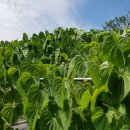 해원농장 이미지