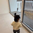 하몽하몽키즈풀빌라 | 홍천 '하몽하몽키즈풀빌라' B동 | 19개월·8개월 아기랑 숙소