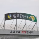 강가어탕