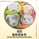 이천농장 | <경기 이천> 이천딸기모찌 맛집 올바른농장 후기
